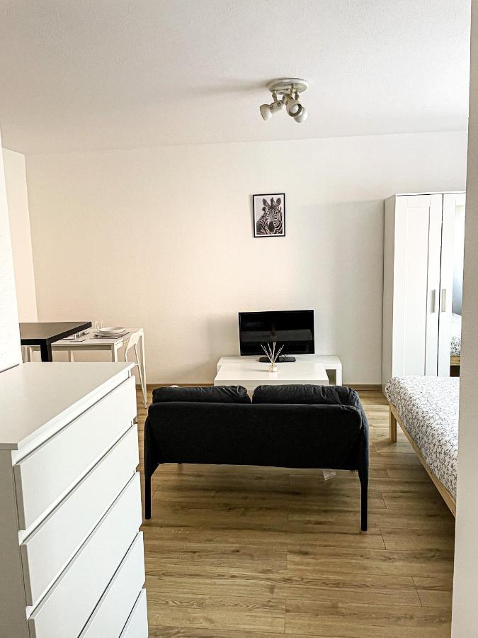 Le Paisible-T1-26M2 Appartement Centre Ville Mulhouse Luaran gambar